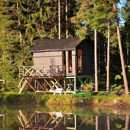 Dragon House In The Tree! Jacuzzi, Sauna ,Cinema,Heated Lici  Exterior photo