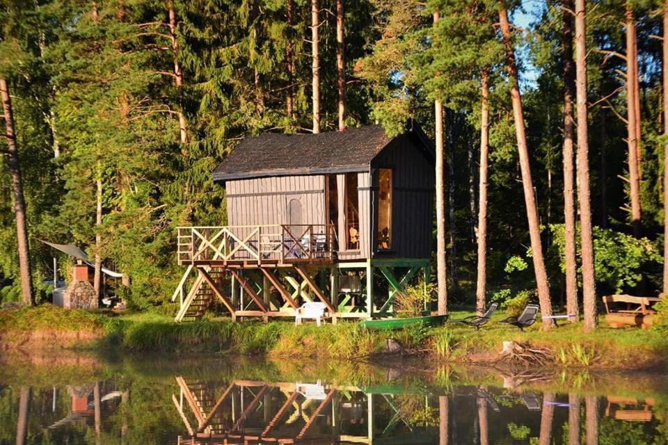 Dragon House In The Tree! Jacuzzi, Sauna ,Cinema,Heated Lici  Exterior photo
