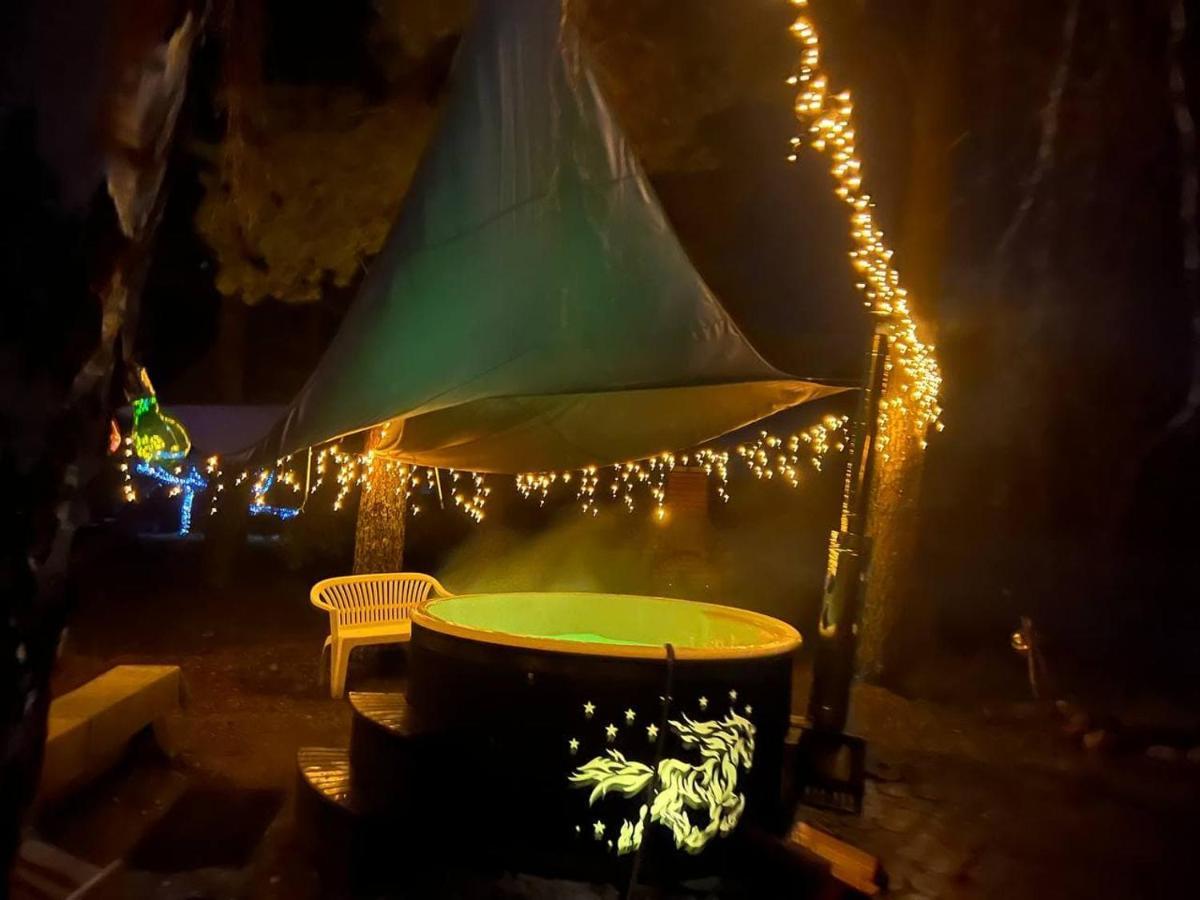 Dragon House In The Tree! Jacuzzi, Sauna ,Cinema,Heated Lici  Exterior photo