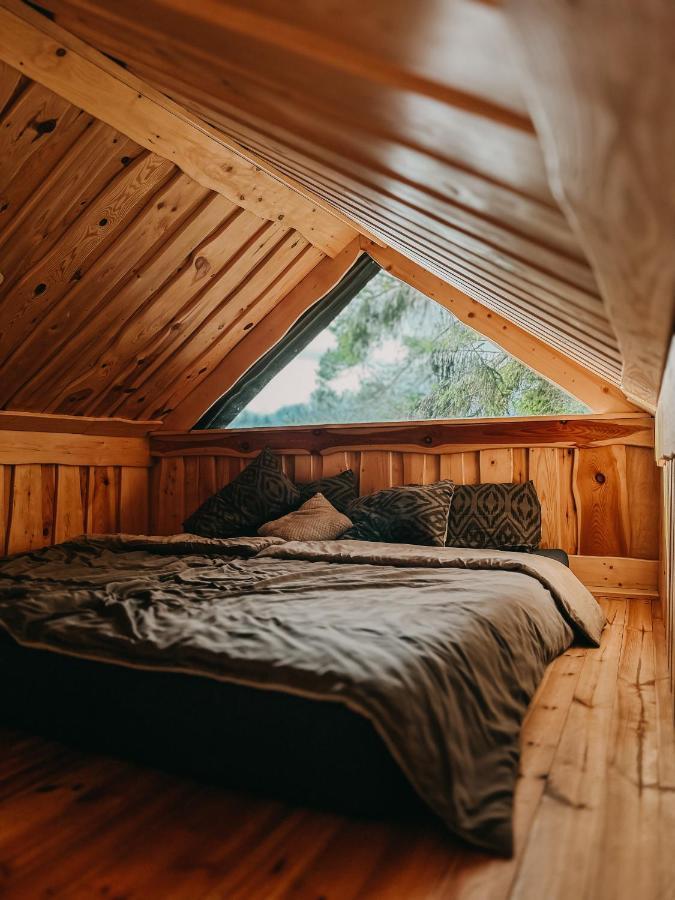 Dragon House In The Tree! Jacuzzi, Sauna ,Cinema,Heated Lici  Exterior photo
